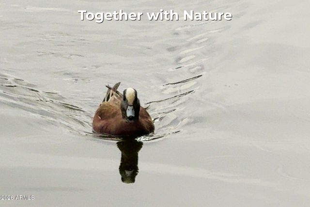 8829 S 51ST Street 3, Phoenix, AZ 85044