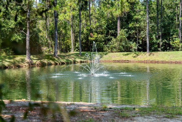 Lot 53 Hibernate Way, Freeport, FL 32439