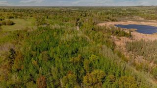 10651-10677 Pinewood Drive SW, Nisswa, MN 56468