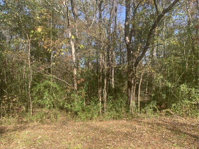 Lot 21 Mary Ellie Drive, Summerville, SC 29483