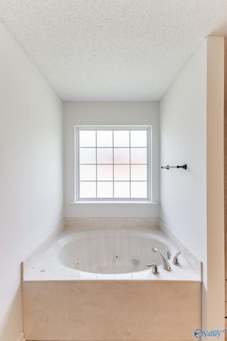111 Vandenberg Lane, Harvest, AL 35749