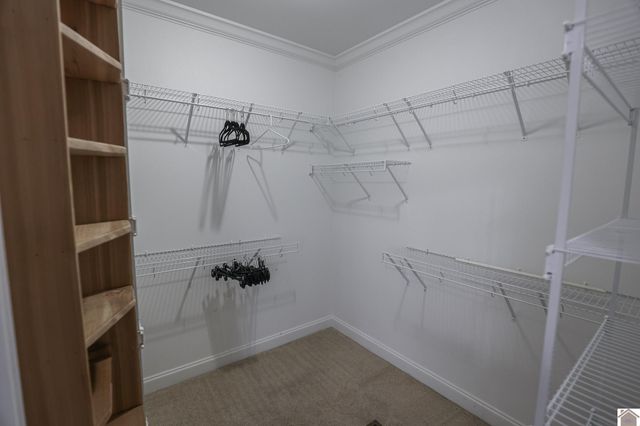 135 Wildcat Trace, Paducah, KY 42003