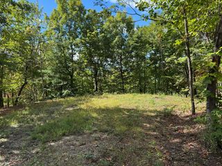 #6-2 Tree Top Drive, Hayesville, NC 28904