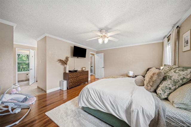 202 Blanca Court, Colorado Springs, CO 80919