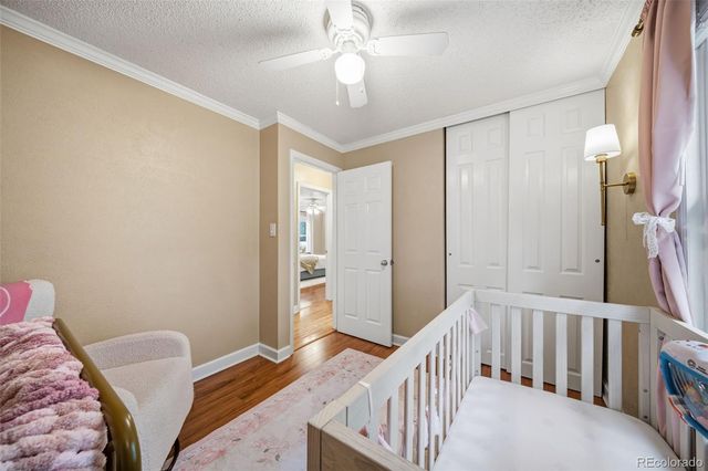 202 Blanca Court, Colorado Springs, CO 80919