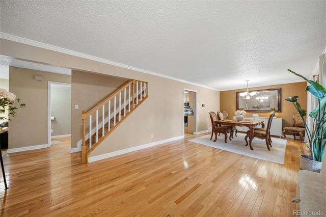 202 Blanca Court, Colorado Springs, CO 80919