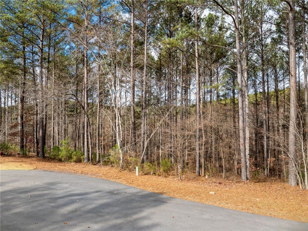 112 Northington Court, Sunset, SC 29685