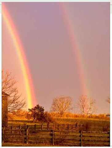 12641 Troy Pike, Versailles, KY 40383