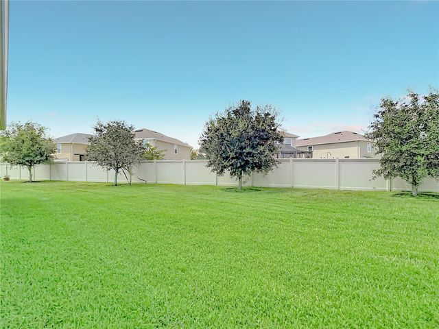 31686 TANSY BEND, Wesley Chapel, FL 33545