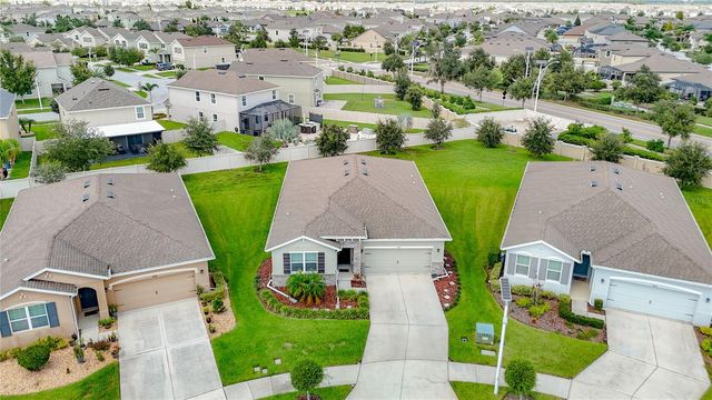 31686 TANSY BEND, Wesley Chapel, FL 33545