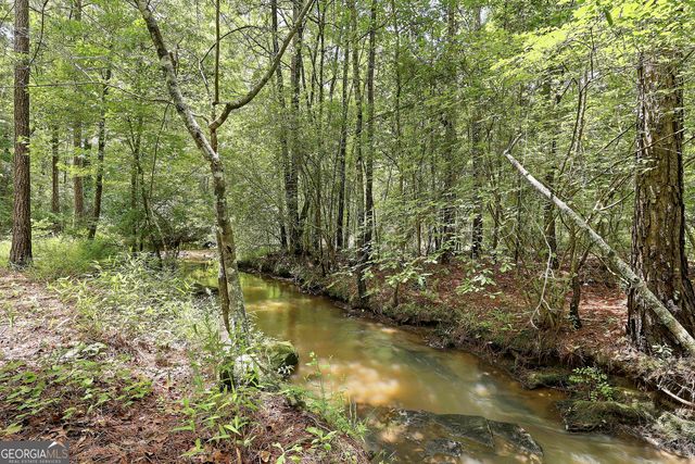 207 Steeplechase, Barnesville, GA 30204