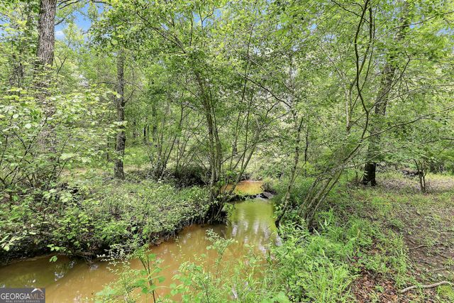 207 Steeplechase, Barnesville, GA 30204