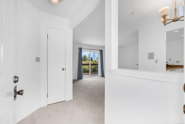 417 Evelyn Ave 205, Albany, CA 94706