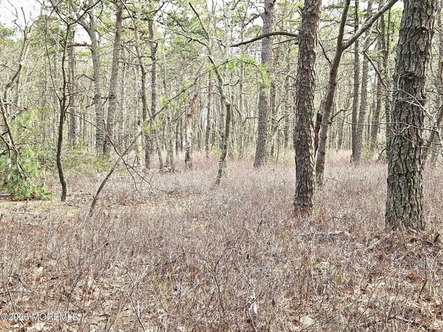 0 Birchwood Drive, Tuckerton, NJ 08087
