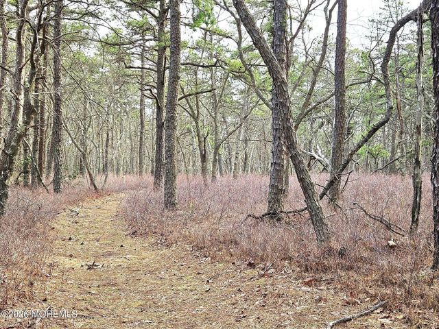 0 Birchwood Drive, Tuckerton, NJ 08087