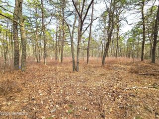 0 Birchwood Drive, Tuckerton, NJ 08087