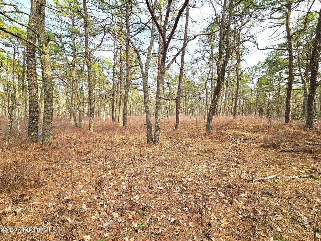 0 Birchwood Drive, Tuckerton, NJ 08087