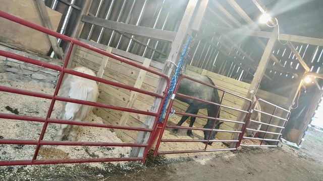 135 Lovette Lane, Harrodsburg, KY 40330