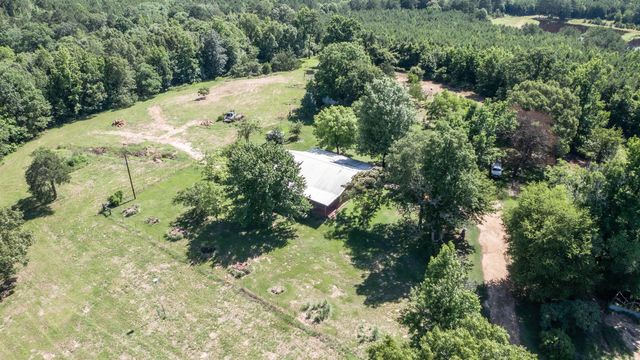 32332 W State Highway 49, Avinger, TX 75630