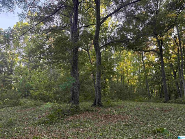33600 HIGHWAY 22, Verbena, AL 36091