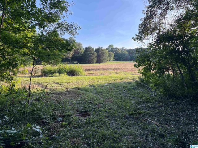 33600 HIGHWAY 22, Verbena, AL 36091