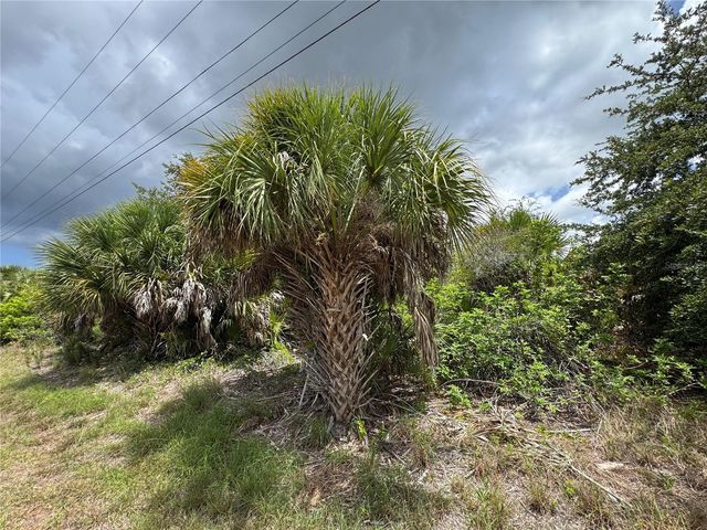 13224 KITCHENER AVENUE, Port Charlotte, FL 33981