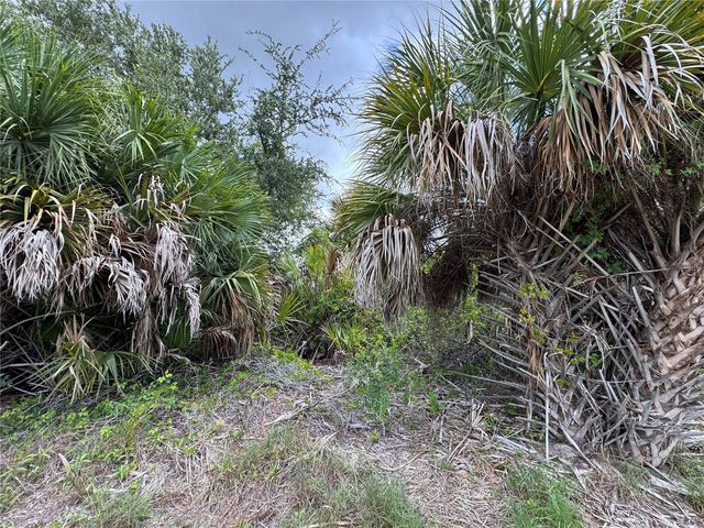 13224 KITCHENER AVENUE, Port Charlotte, FL 33981