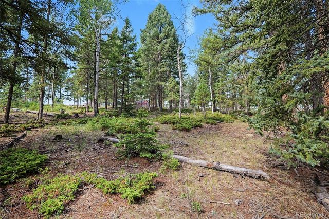 27887 Richmond Hill Road, Conifer, CO 80433