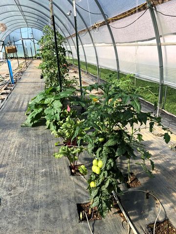 296 Flowers Drive, Blairsville, GA 30512