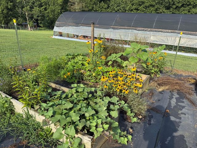 296 Flowers Drive, Blairsville, GA 30512