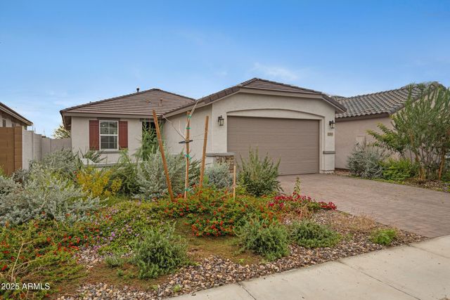 12565 W LEVI Drive, Avondale, AZ 85323