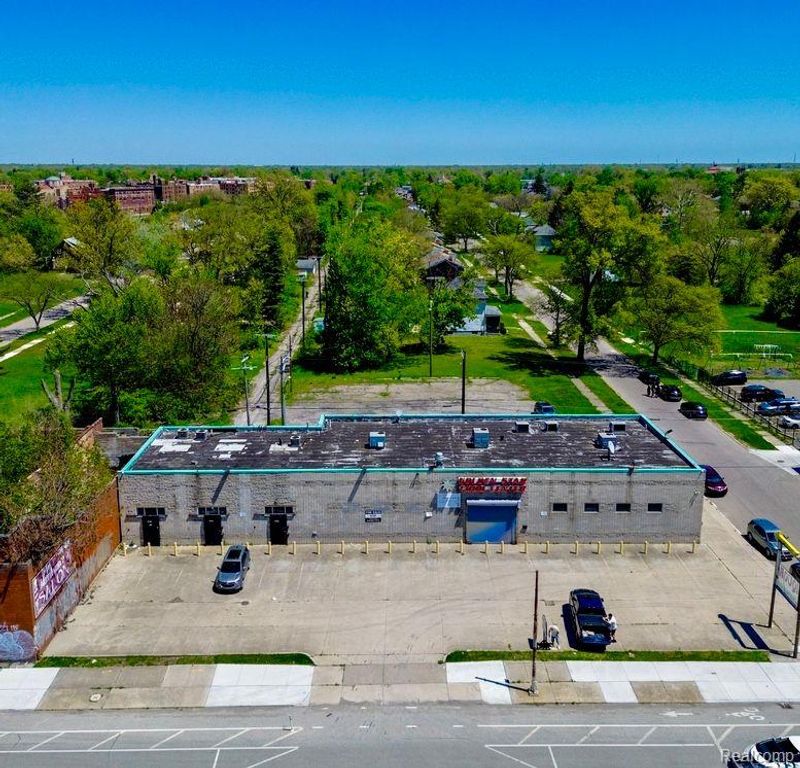 16600 Hamilton Avenue, Highland Park, MI 48203