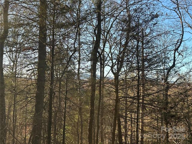 45 Westview Drive, Marion, NC 28752