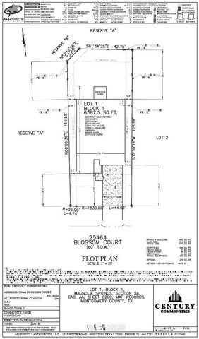 25464 Blossom Court, Montgomery, TX 77316