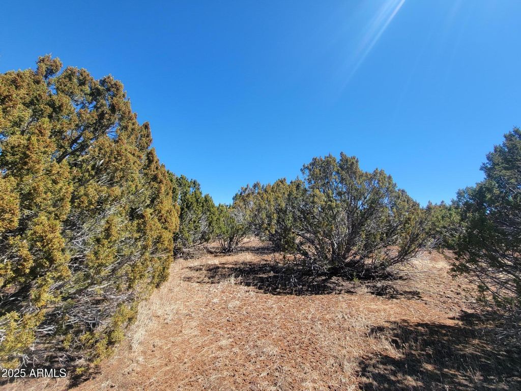 Image 10 of property listing at 57 County Rd 8070 -- -, Concho, AZ 85924