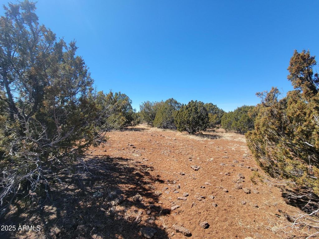 Image 11 of property listing at 57 County Rd 8070 -- -, Concho, AZ 85924