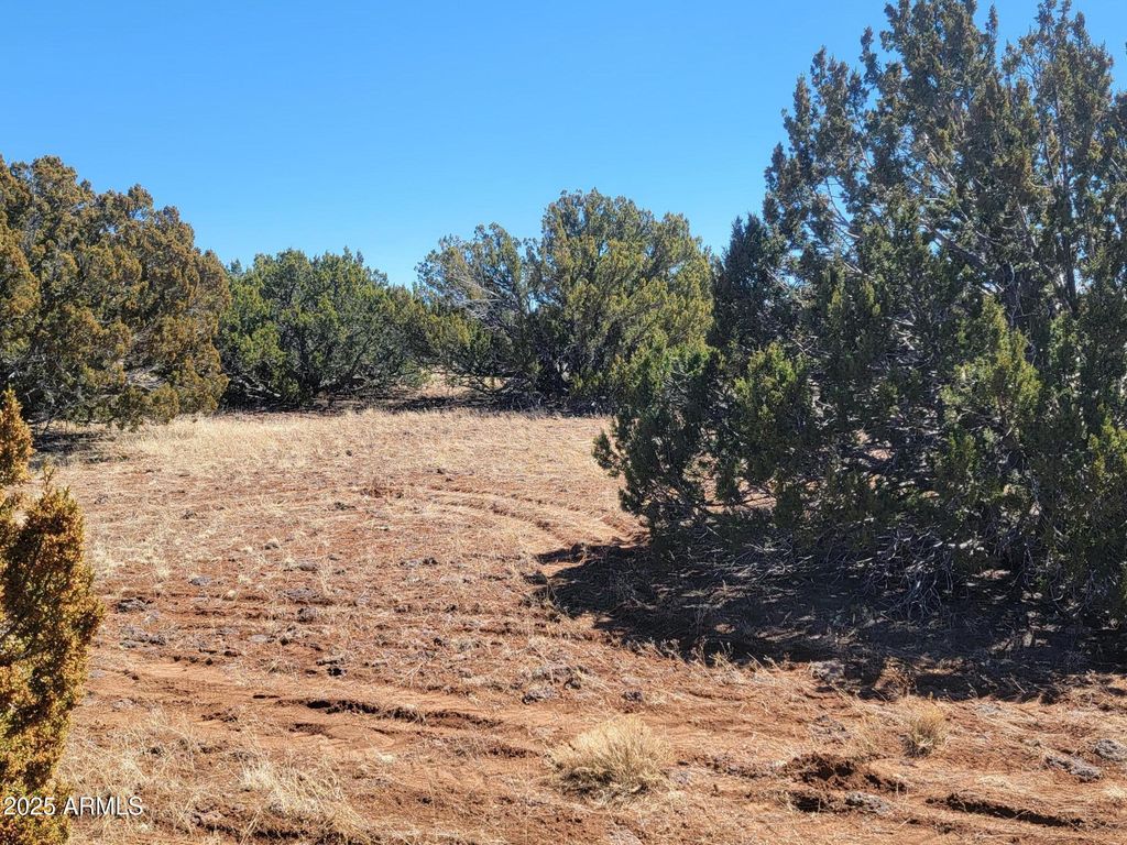 Image 12 of property listing at 57 County Rd 8070 -- -, Concho, AZ 85924