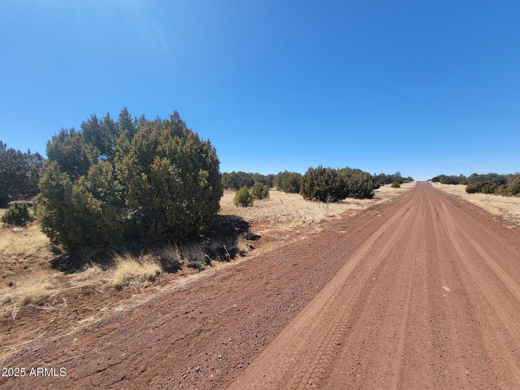 Image 5 of property listing at 57 County Rd 8070 -- -, Concho, AZ 85924