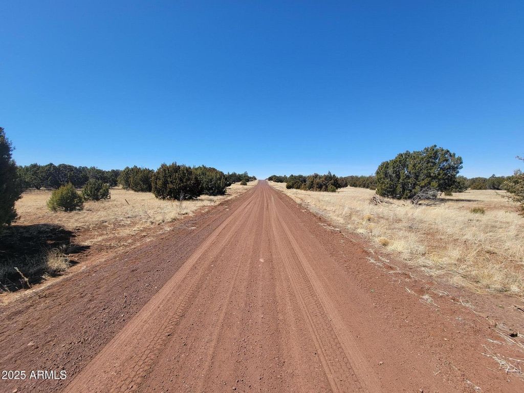Image 6 of property listing at 57 County Rd 8070 -- -, Concho, AZ 85924