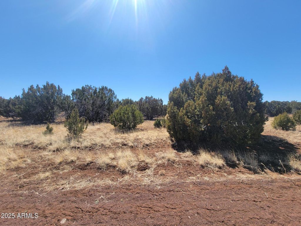 Image 7 of property listing at 57 County Rd 8070 -- -, Concho, AZ 85924