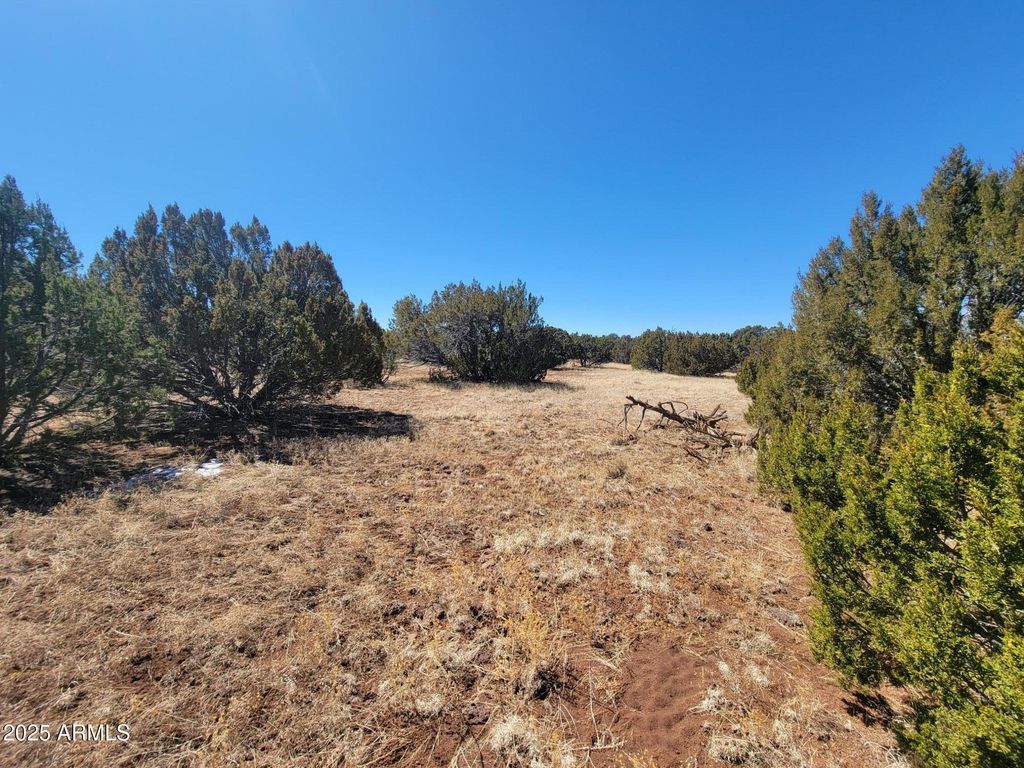 Image 8 of property listing at 57 County Rd 8070 -- -, Concho, AZ 85924
