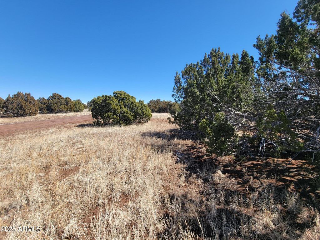 Image 9 of property listing at 57 County Rd 8070 -- -, Concho, AZ 85924