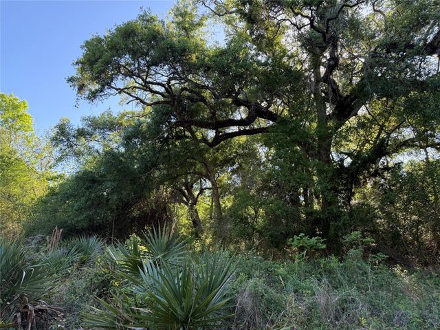15563 Tax ID Ramblewood County Road 281 Road, Sargent, TX 77414