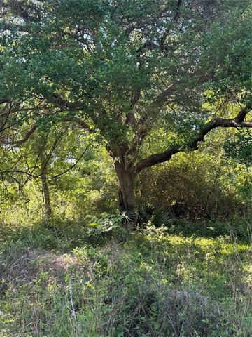 15563 Tax ID Ramblewood County Road 281 Road, Sargent, TX 77414