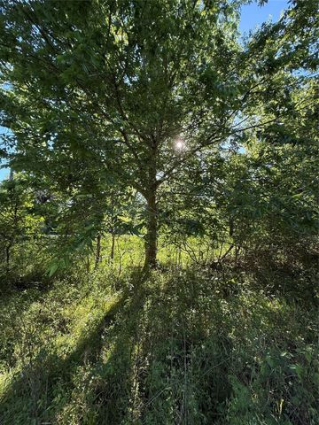 15563 Tax ID Ramblewood County Road 281 Road, Sargent, TX 77414