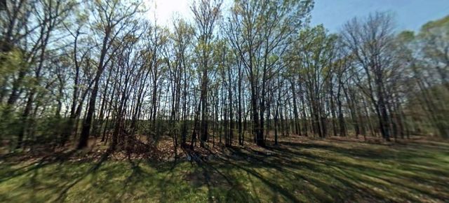 302 Terrell Road, Livingston, TX 77351