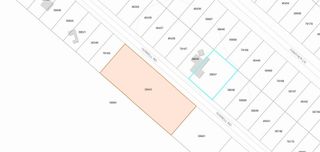 302 Terrell Road, Livingston, TX 77351