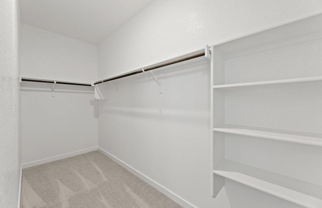 104 Hatari TRL, Jarrell, TX 76537