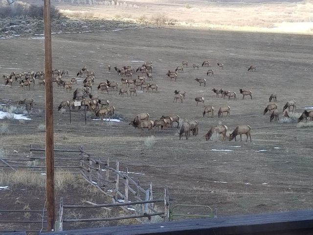 26101 Highway 141, Whitewater, CO 81527