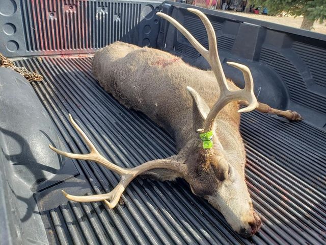 26101 Highway 141, Whitewater, CO 81527